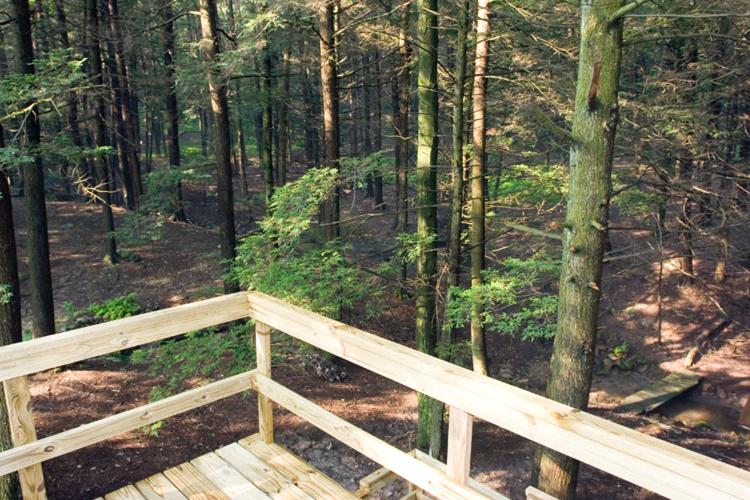 Secluded Vacation Cabin with hottub in the Poconos - Housity