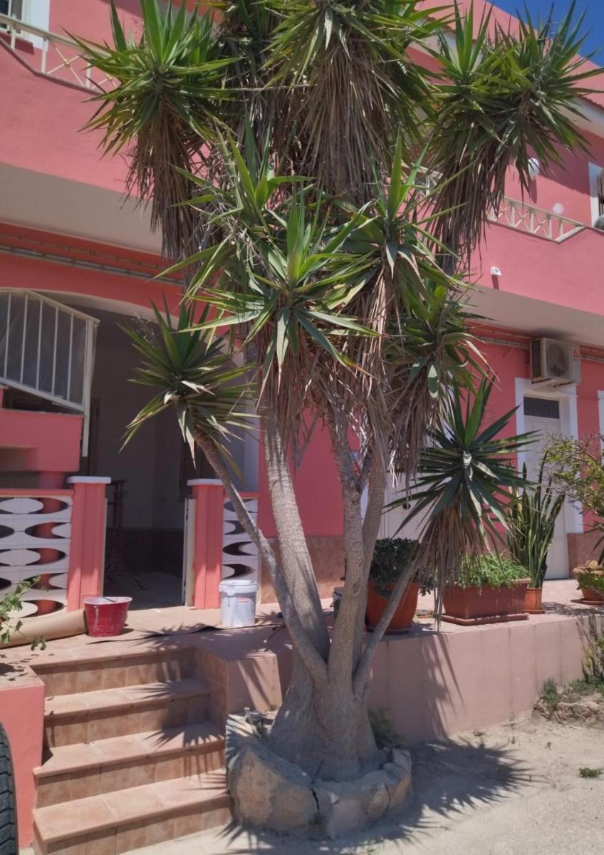 Suitetrails - la casa rosa