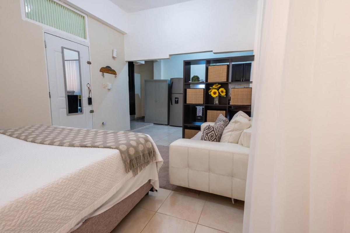 Acogedor estudio 7 en la Zona Colonial - Housity