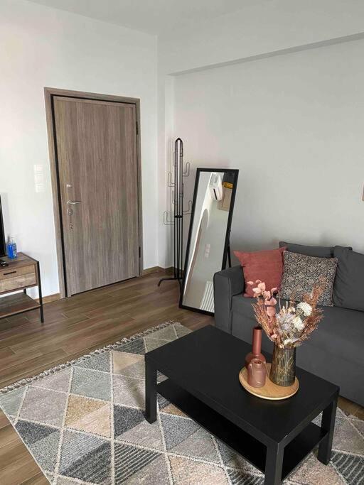 Suitetrails - LUXURY APARTMENTS 1 VOLOS