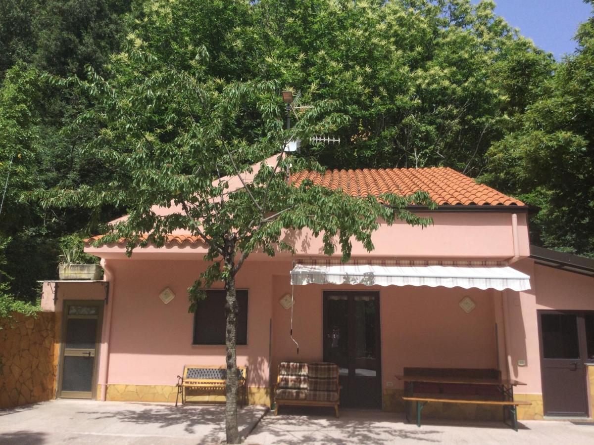 La Casetta nel Bosco per Turisti - Housity