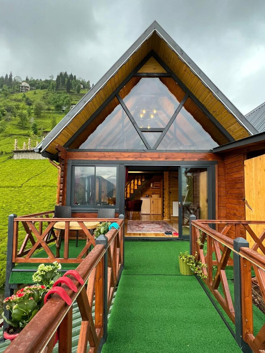 Zifona Bungalov - Housity