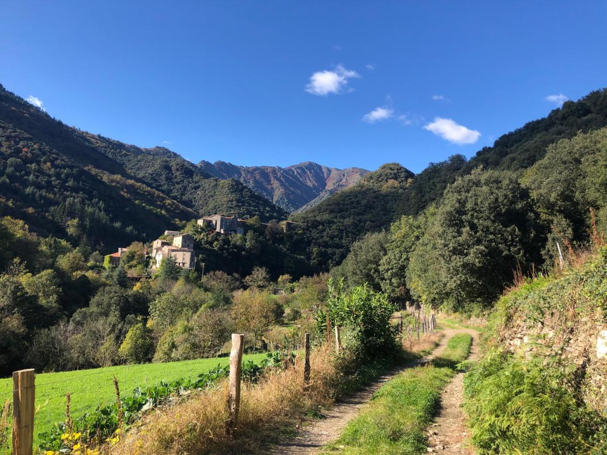 Le Moulin de Bouzigue - Housity