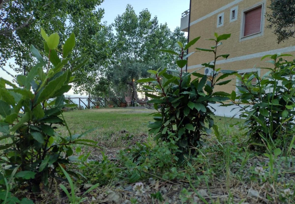 IL CASALE B&B - Housity