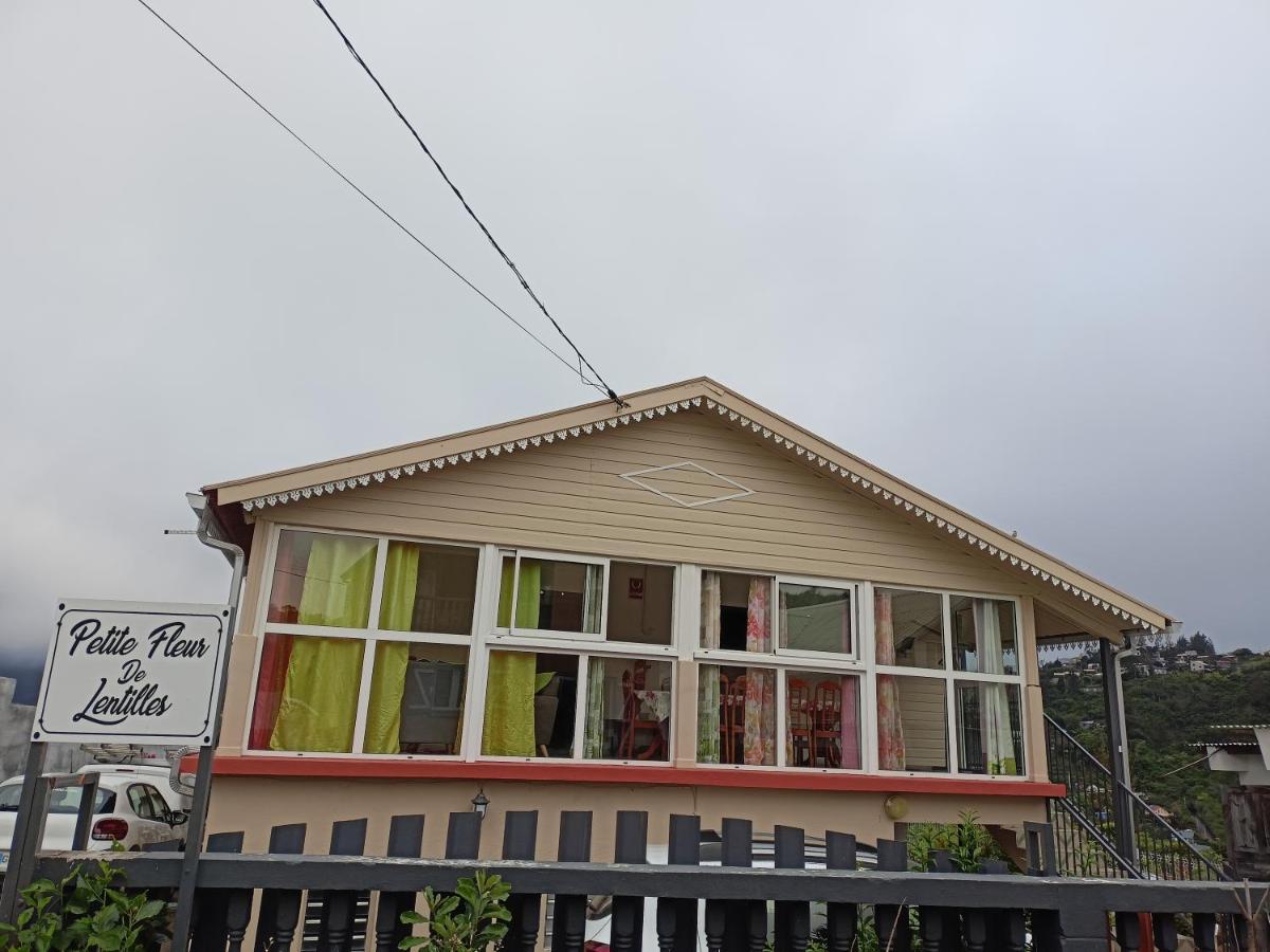 Petite fleur de lentilles - Housity