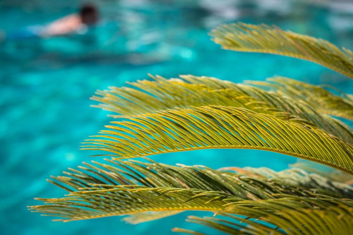 Piscina en o cerca de Atzavara Hotel & Spa