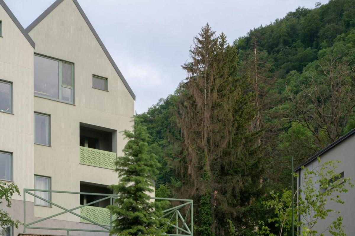 Brașov Citadel View Apartment - Housity