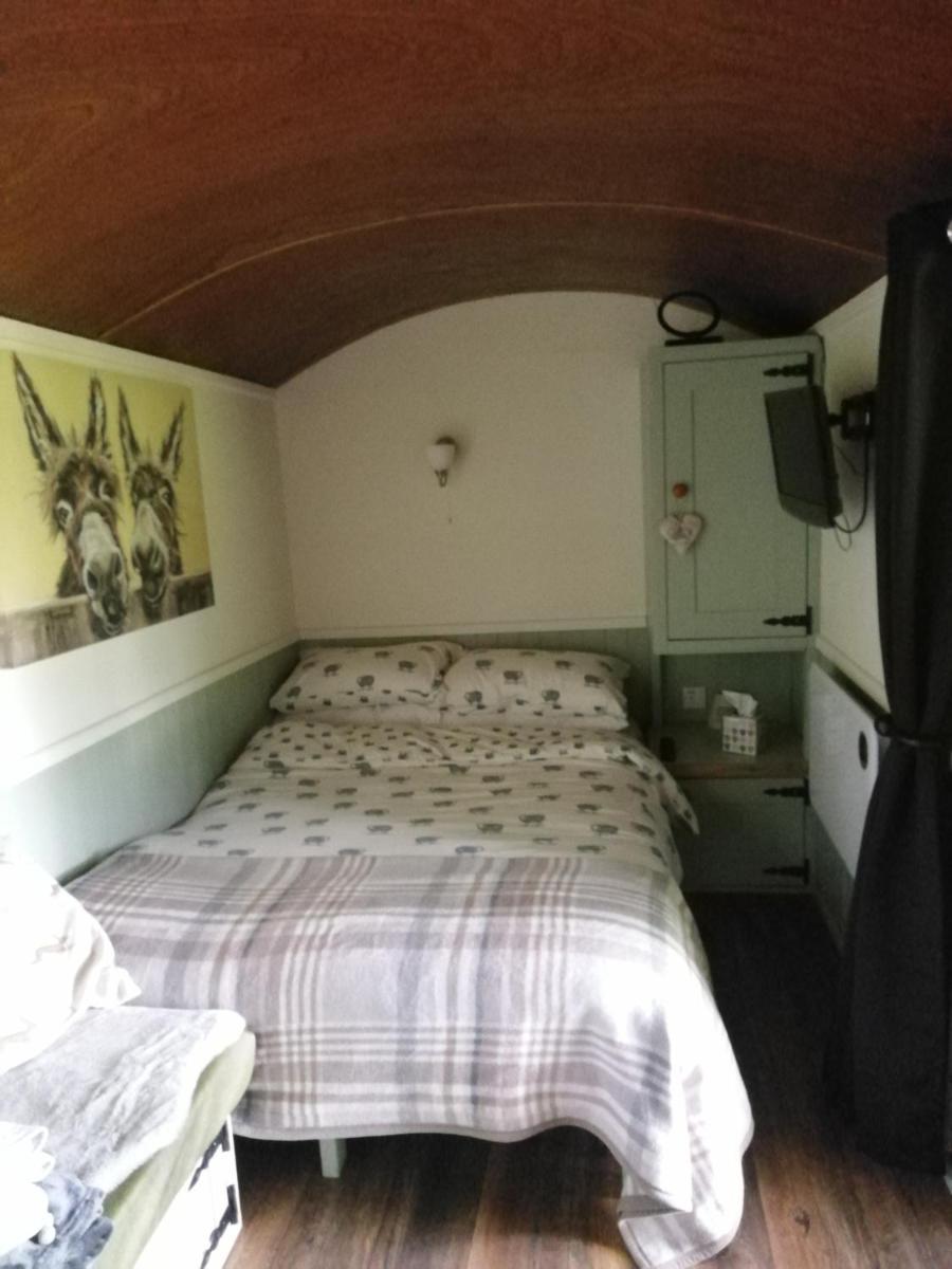 Durham Donkey Rescue Shepherd's Hut - Housity