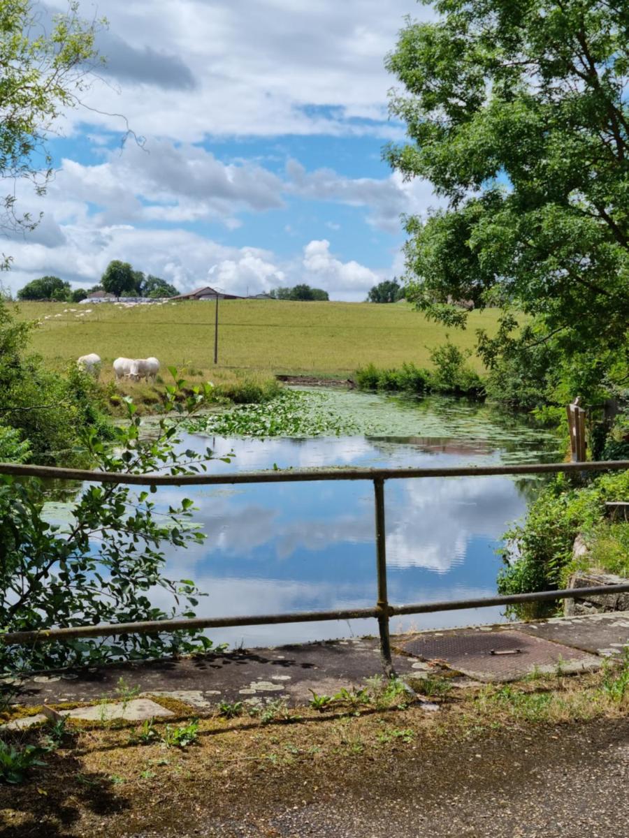 B&B à la campagne - Housity