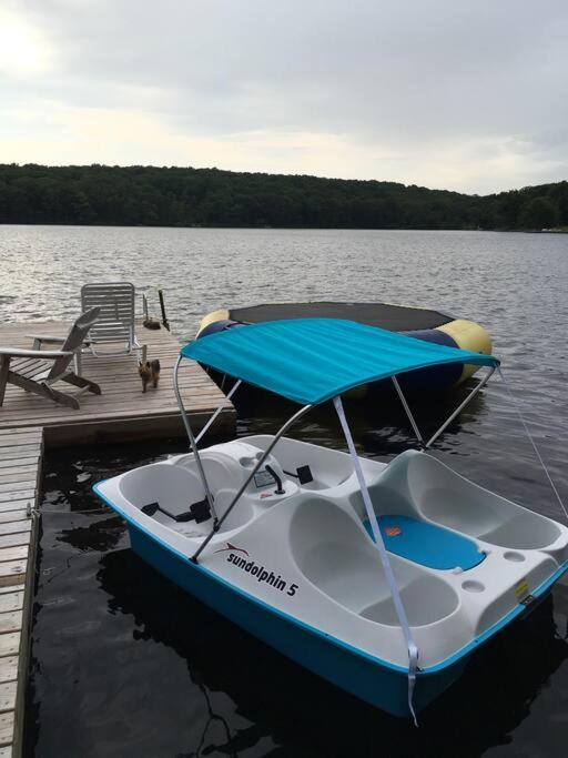 Water front Spring fed natural Lake House - Housity