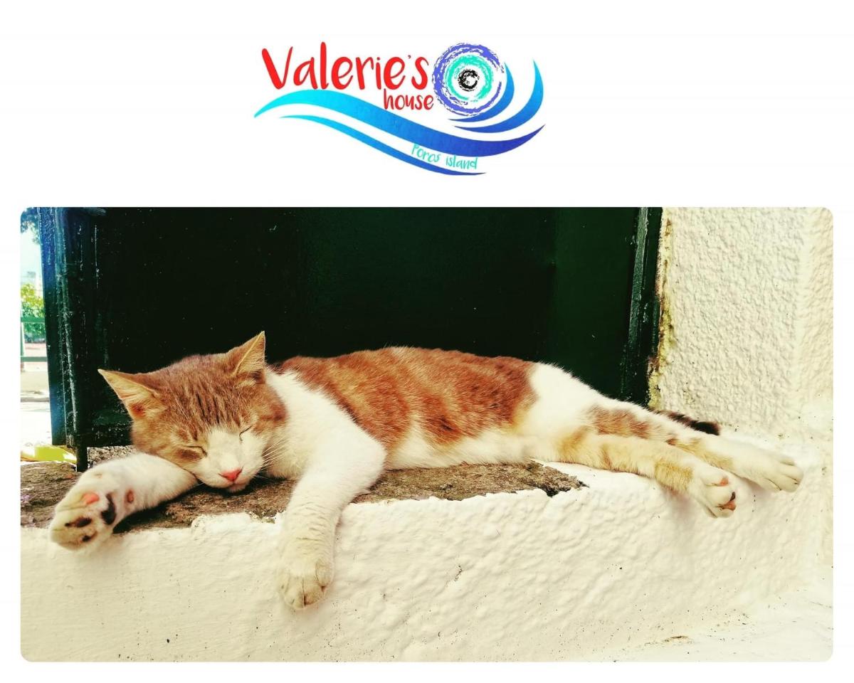 Valerie's House - Housity