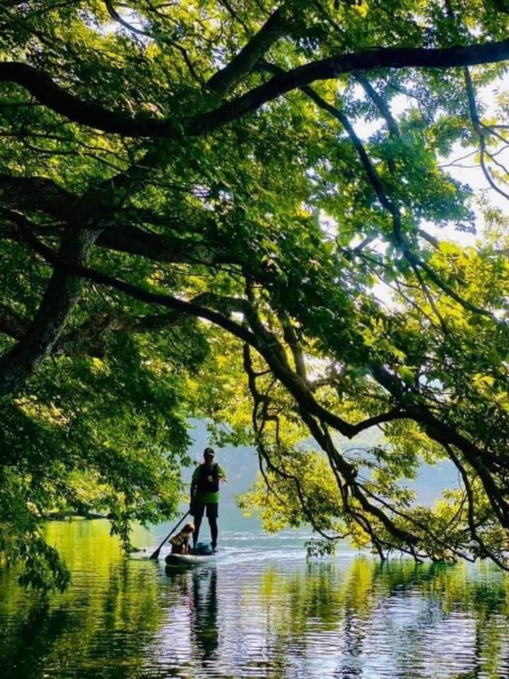 Kizuna Lodge & BBQ Centre - Housity