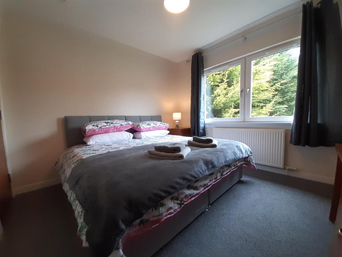 Carvetii - Zelda House - 4 bedroom house, sleeps 8 - Housity