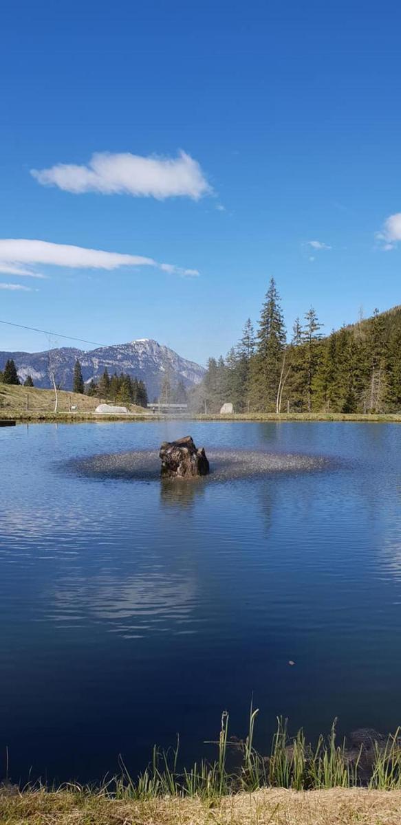 Schmiedalm - Housity