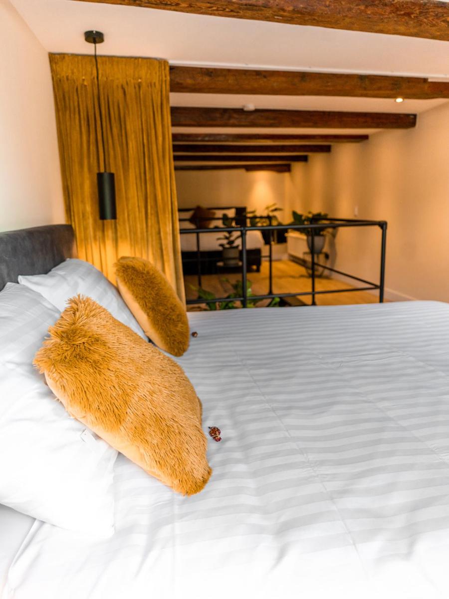 Appartement Wolf - Housity