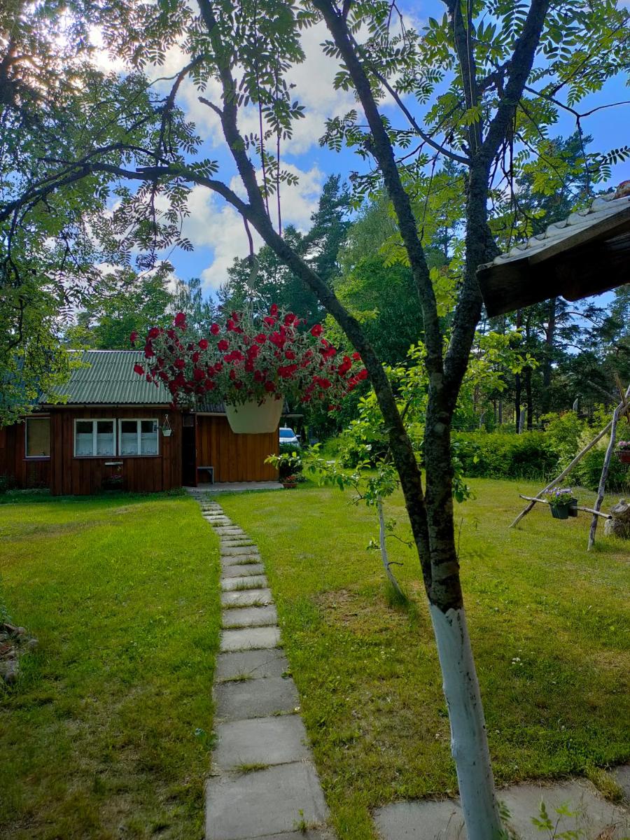 Rucava village 2 houses for 1 price - Housity