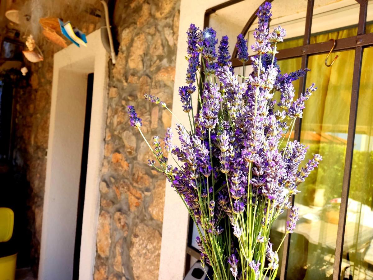Apartman Pelcic,with WiFi and free parking - Housity