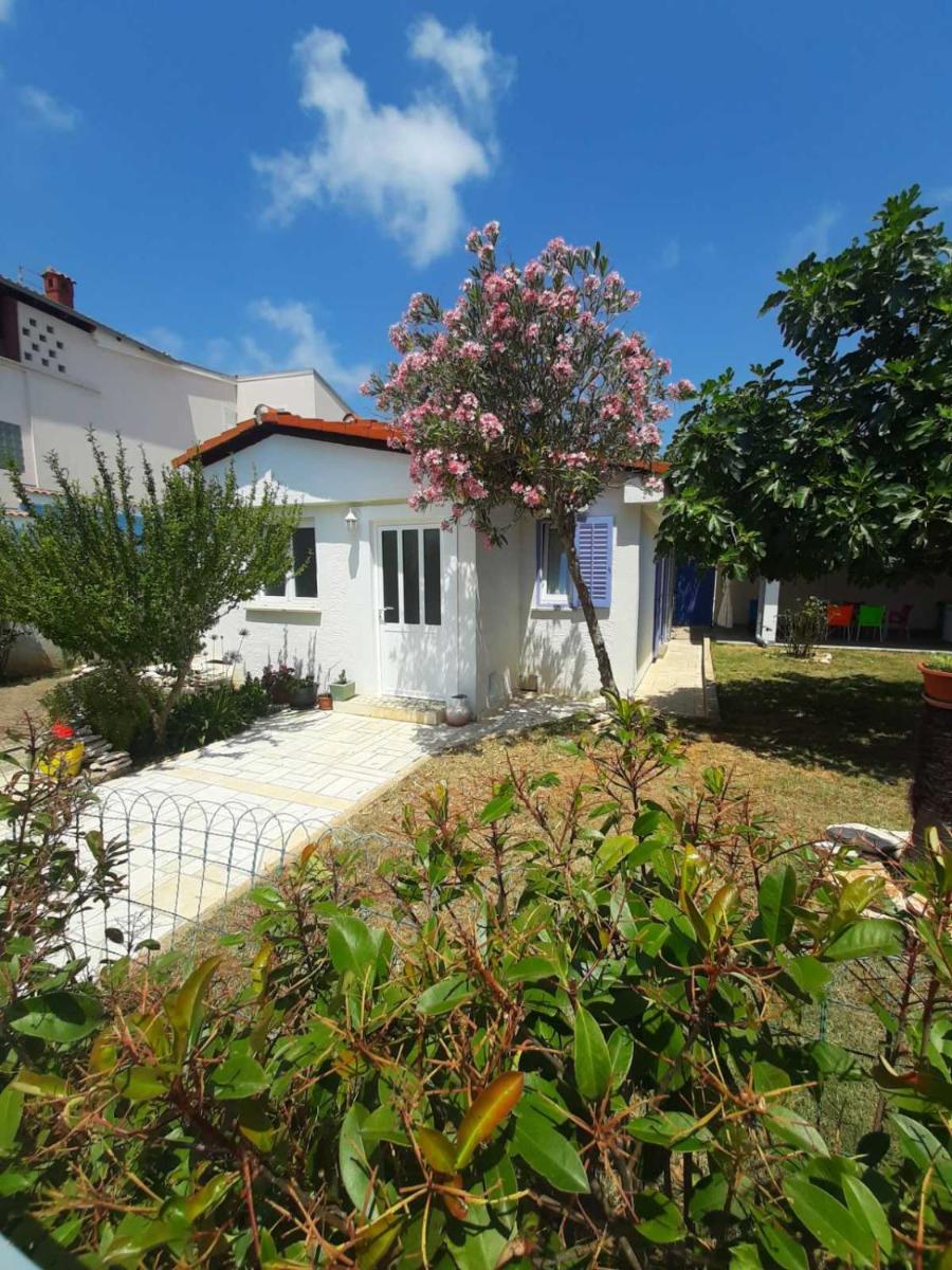 Vacation House Bimba - Pomer - Housity