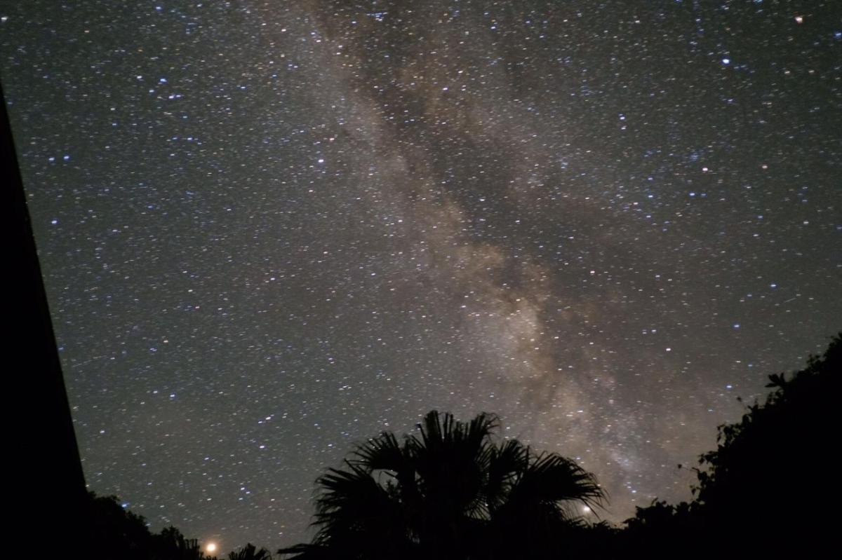 一棟貸　屋久の子の家 - Housity