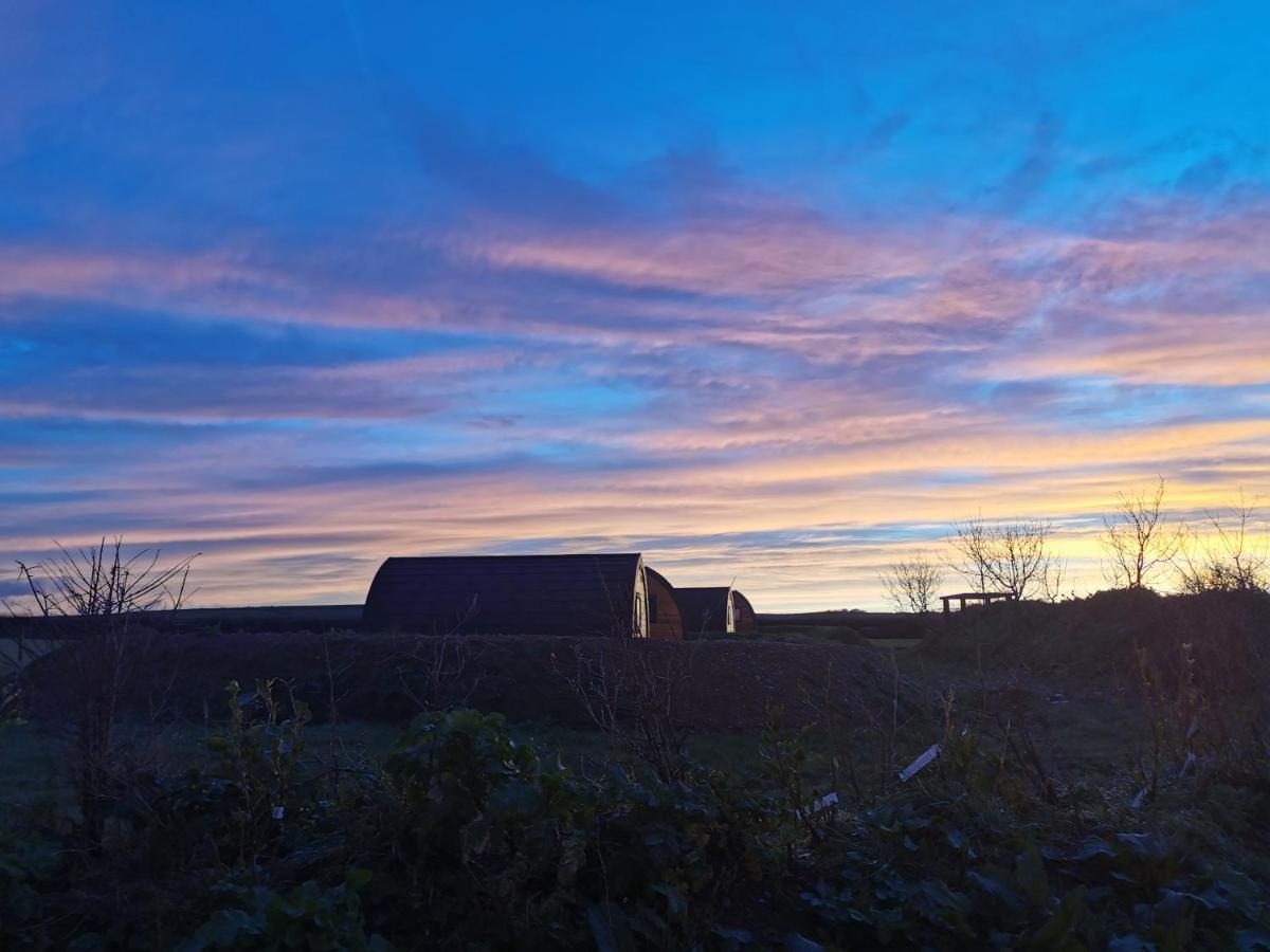 Glamping Pods Nr Port Isaac - Housity