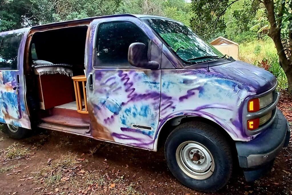 Maui CamperVan 1 Cozy Practical and Funky - Housity