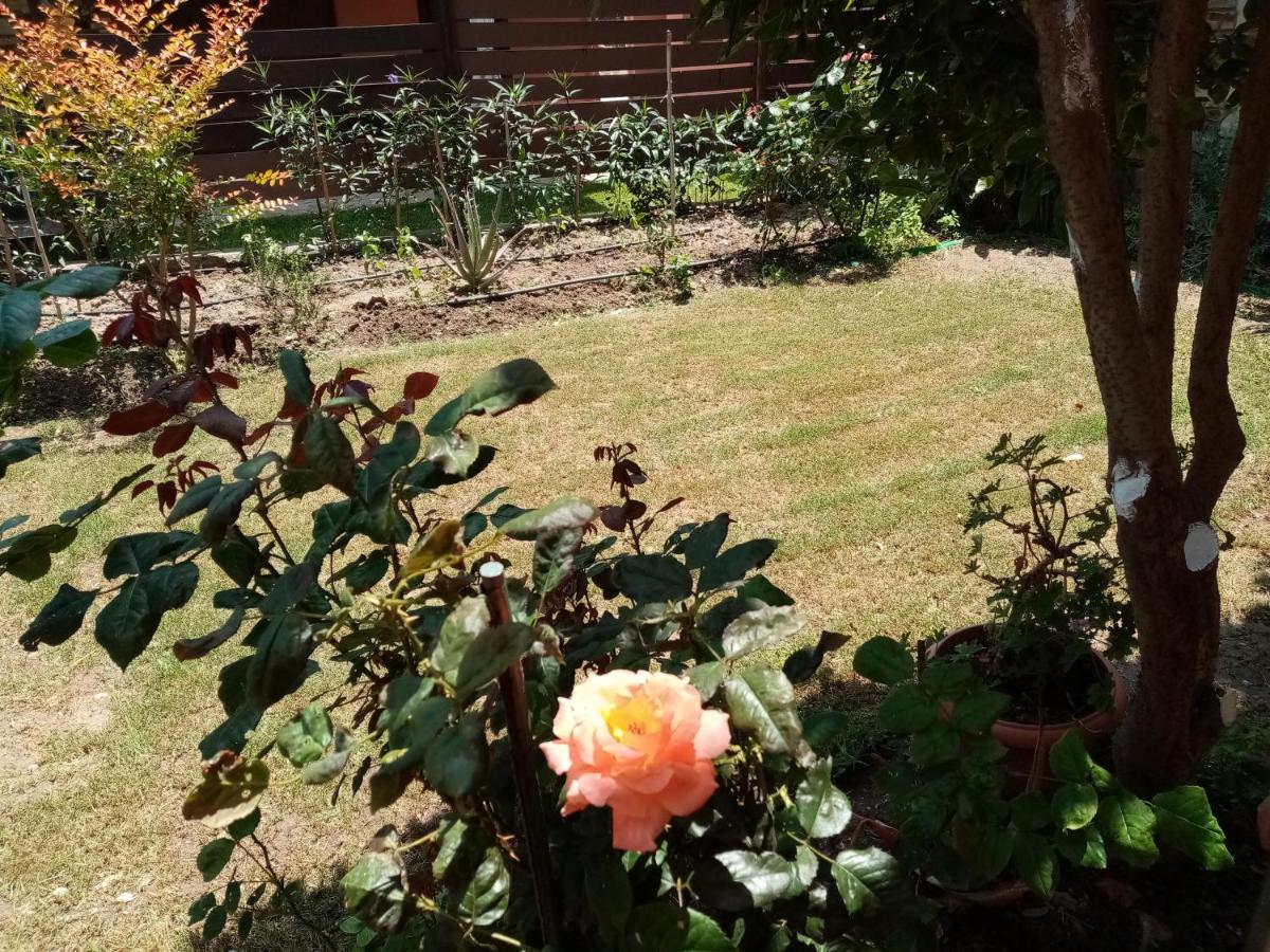 MARY'S HOUSE - Housity