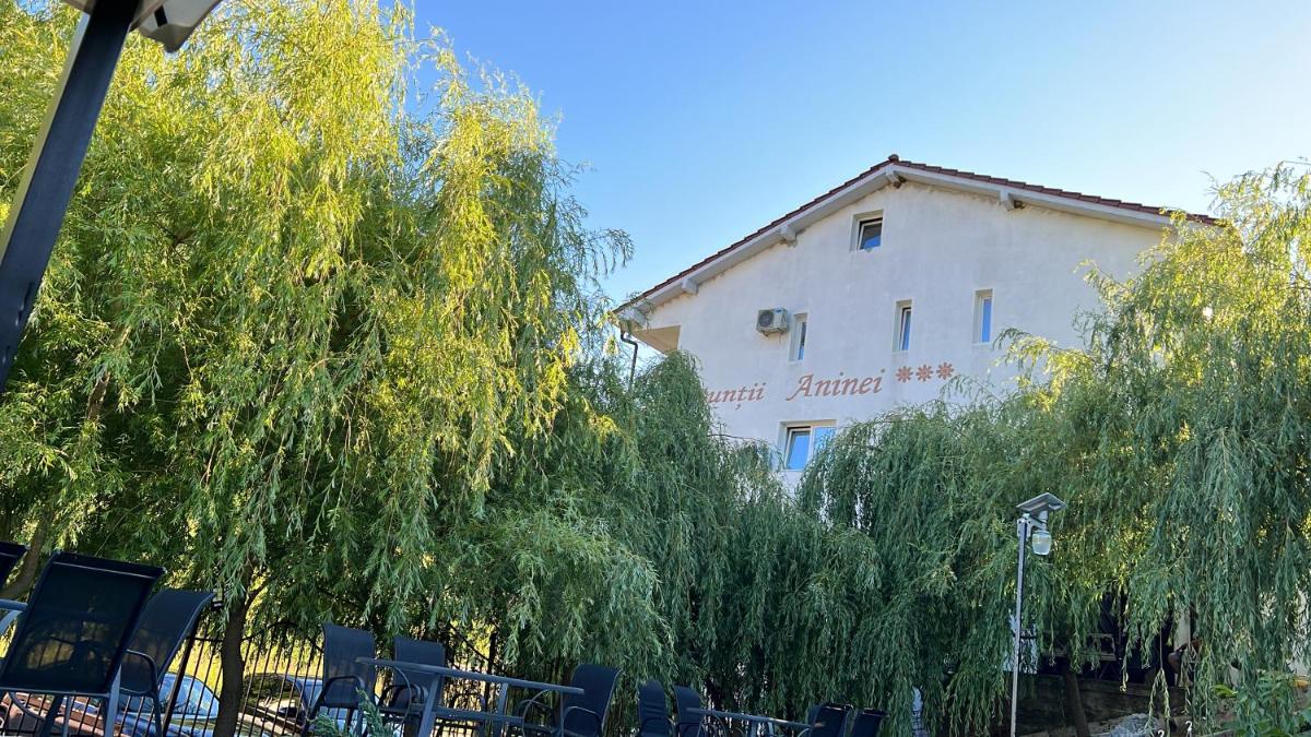 Pensiune Muntii Aninei - Housity