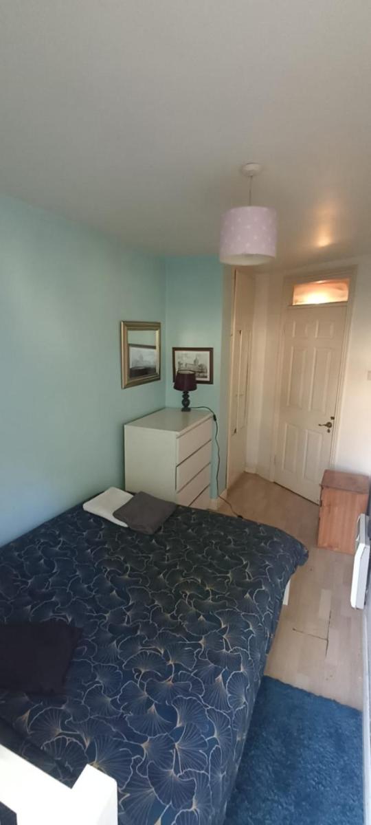 Room with saloon and kitchen - Housity