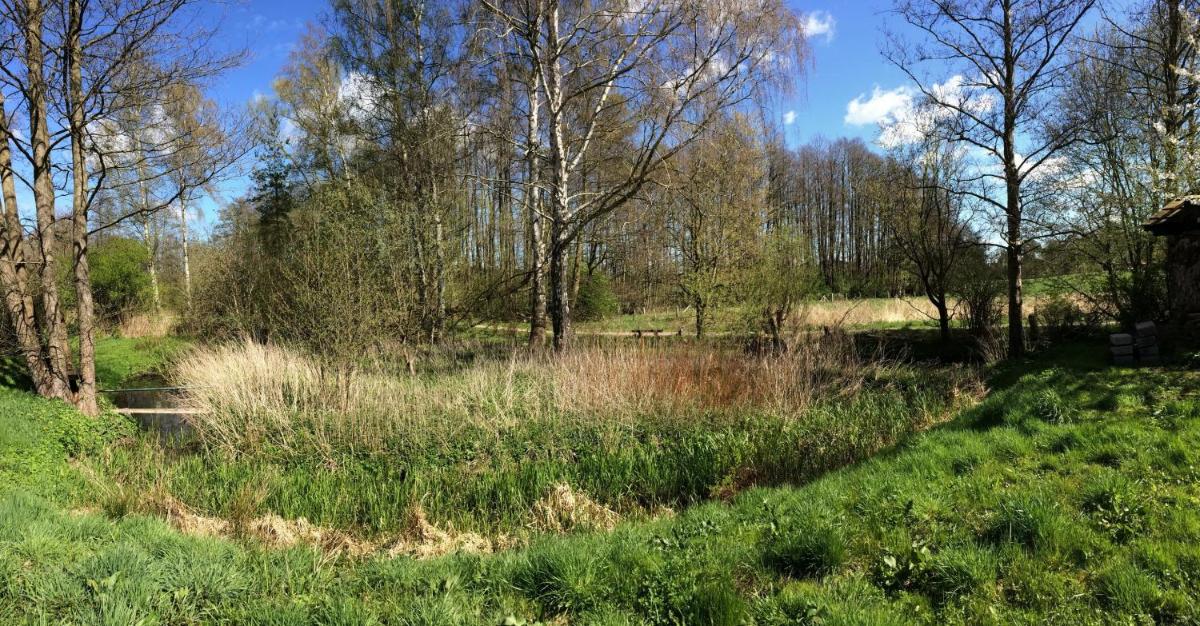 Altes Zollhaus am Klinikum - Housity