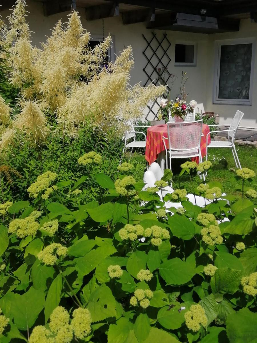 Secret garden house in the center of Sigulda - Housity