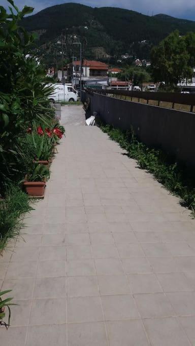 Πολυτελής κατοικία Χαρά με ιδιωτική πισίνα & κήπο - Housity