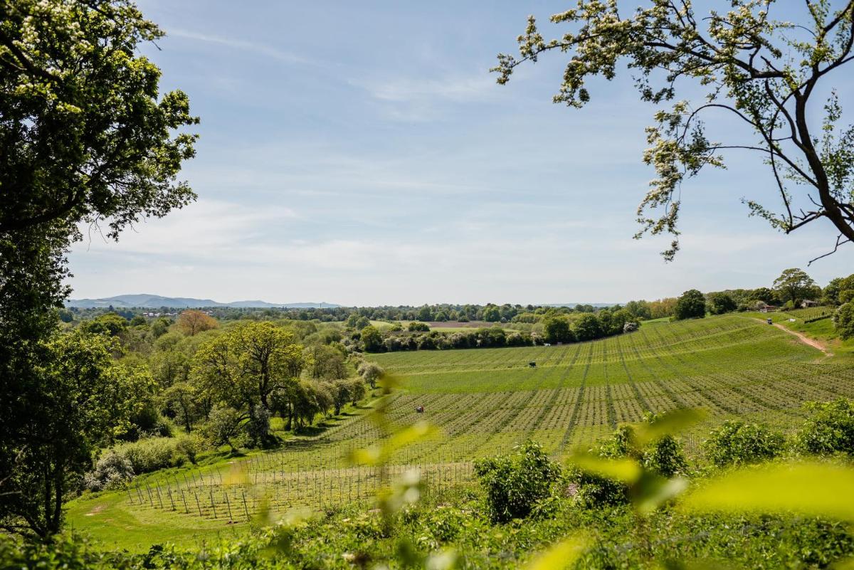 Hencote Vineyard Glamping Village - Housity