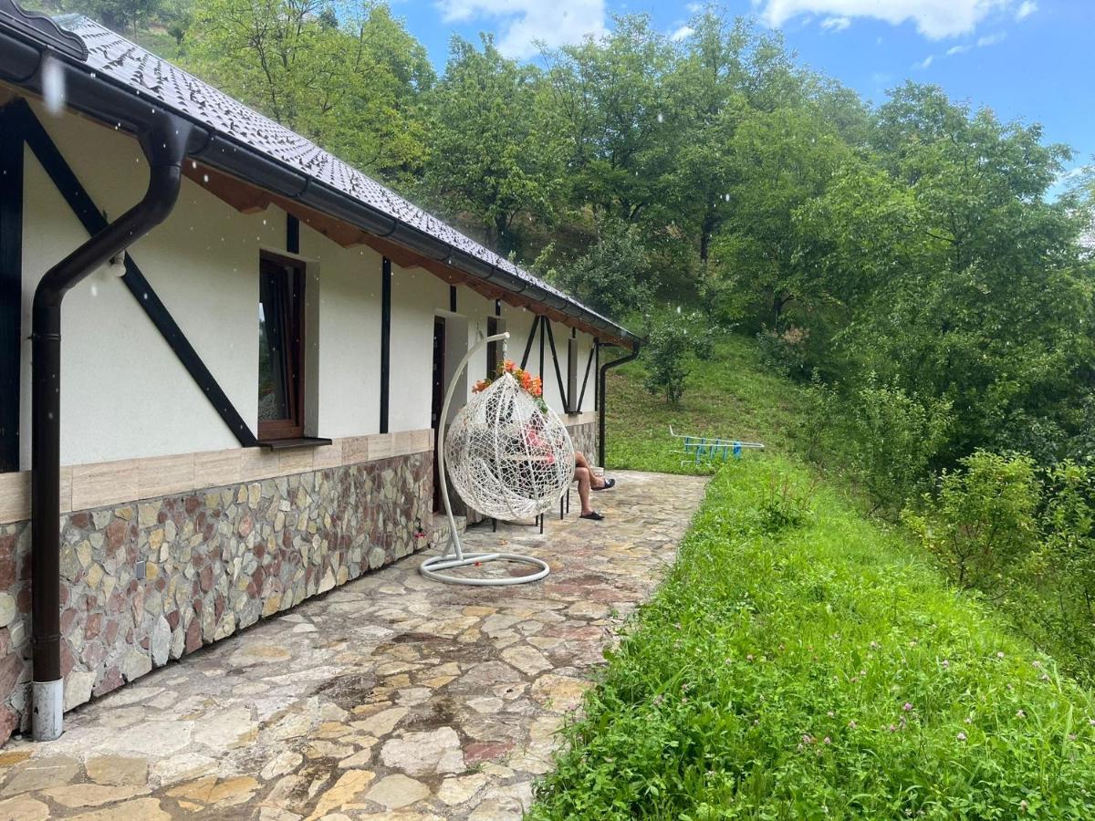 Villa Nature - Housity