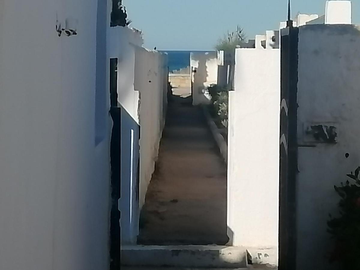 YARA BEACH CABO - Housity