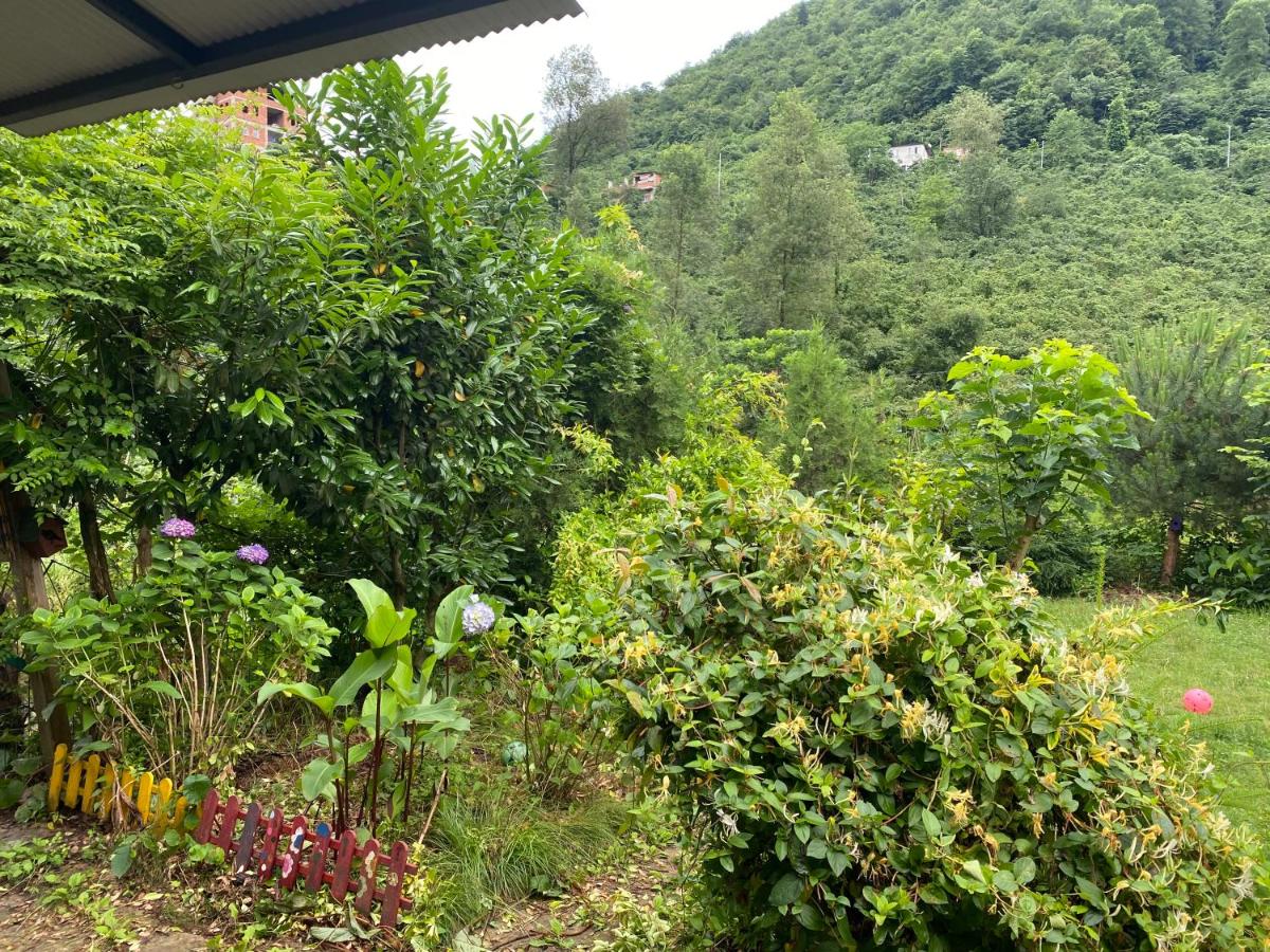 Doğa villa - Housity