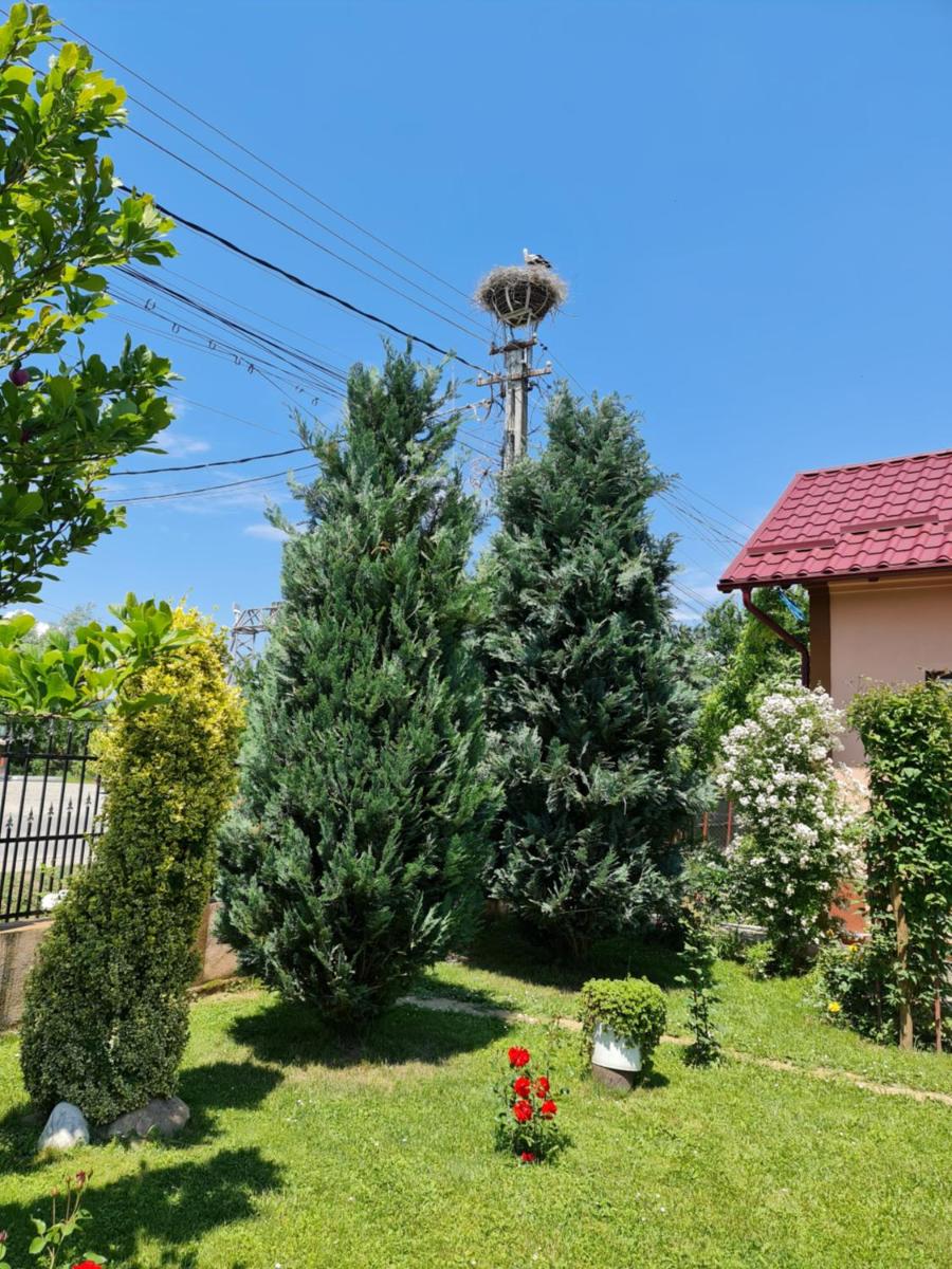 Casa Faurului - Housity