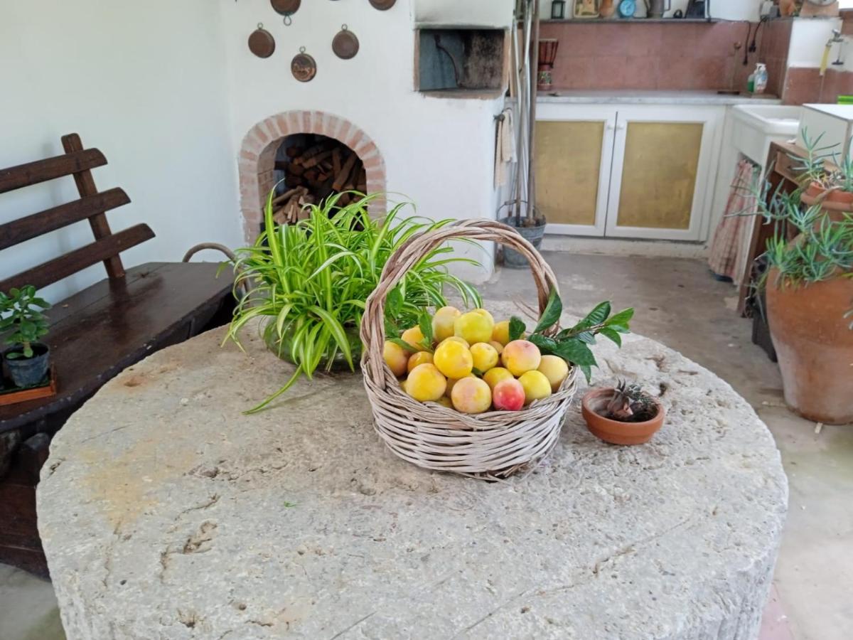 Casetta Eva - Housity