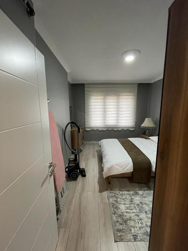 Okba Residence - Housity