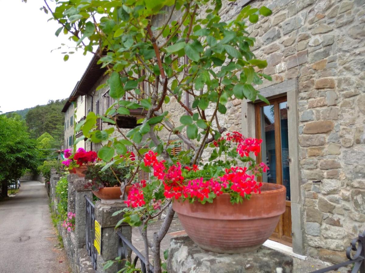 il Nido - Housity