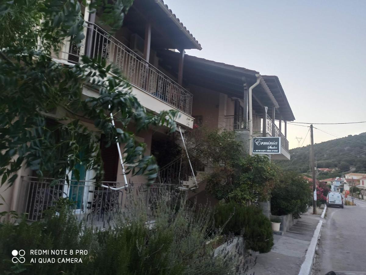 Erminia Studios - Housity