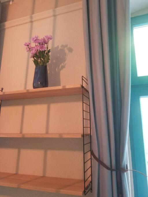 1 Zimmer Wohnung in Ueckermünde - Housity