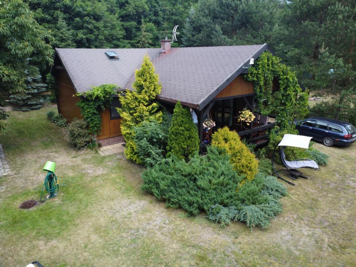 Dom letniskowy Bory Tucholskie - Housity