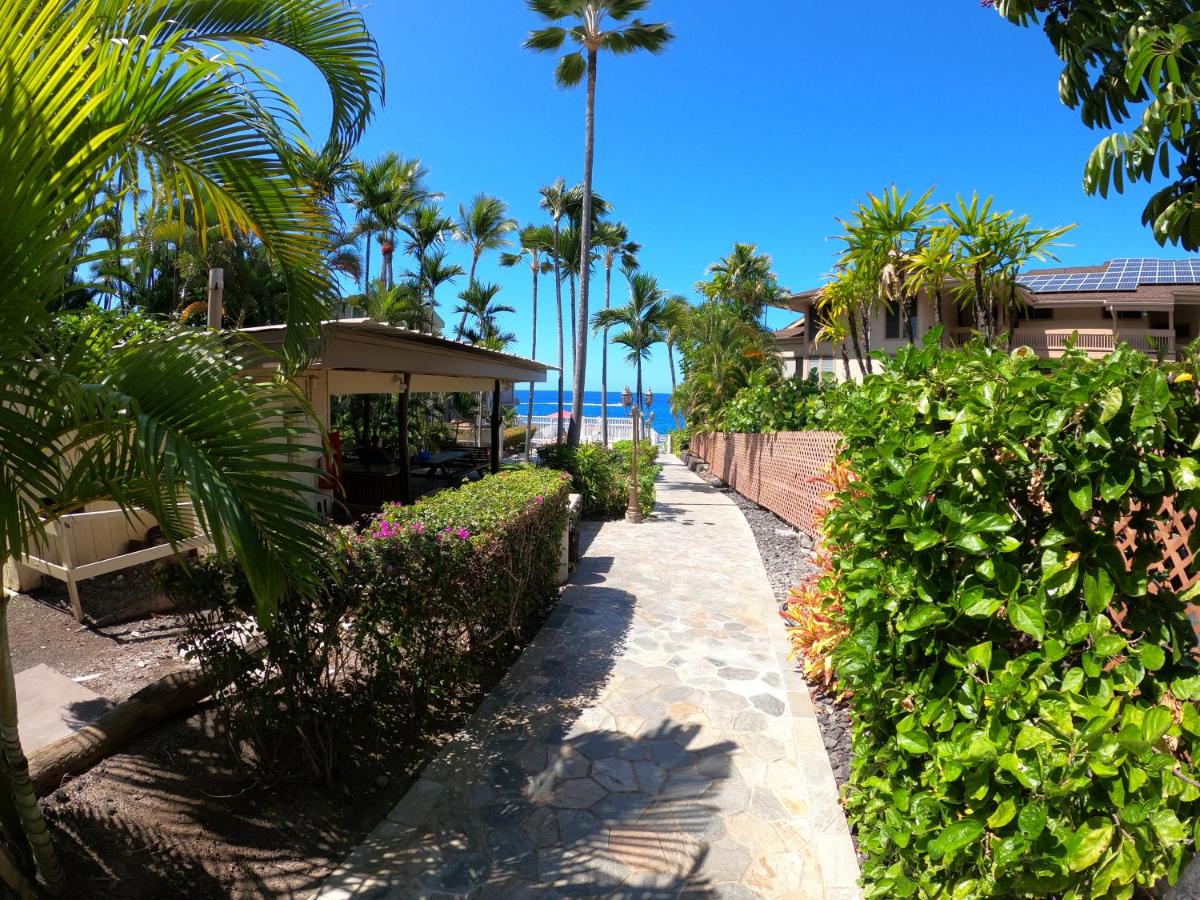Private Queen bedroom Shared Apartment in Kona near shoreline town - Housity