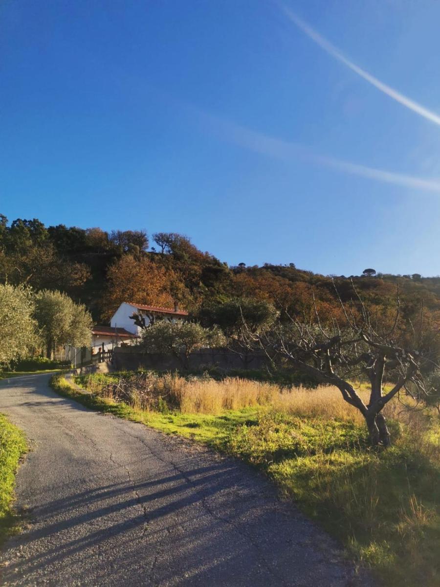 A casa di Natalia - Housity