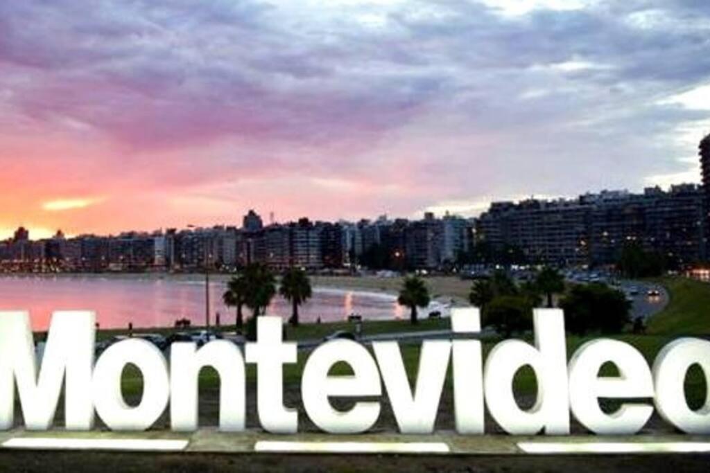 Confortable y luminoso apto. a pasos del mar. - Housity