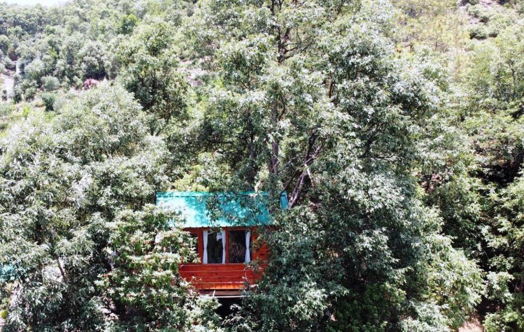 Odyssey Stays Mukteshwar - 300 Metres Trek - Housity