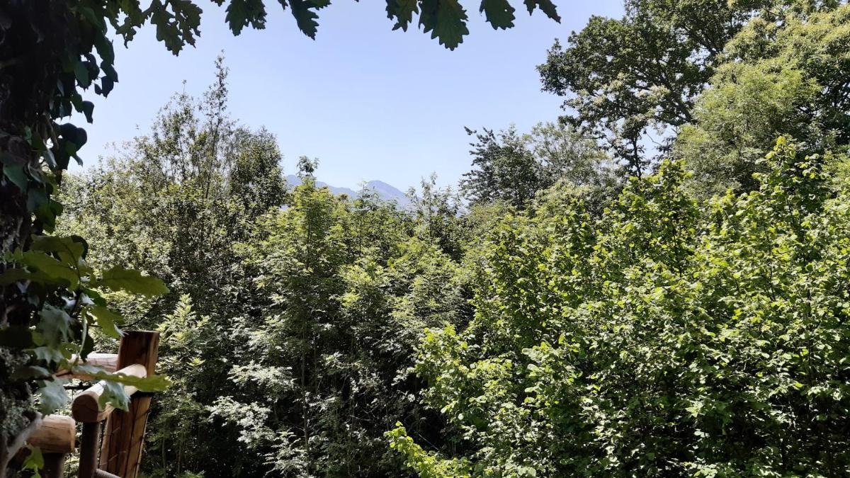 Caban'Aspe - Housity