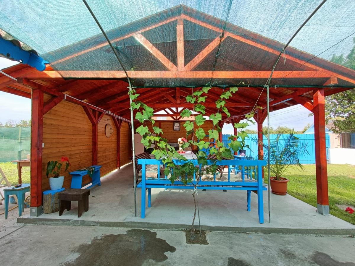 Casa NICHIFOR Jurilovca - Housity