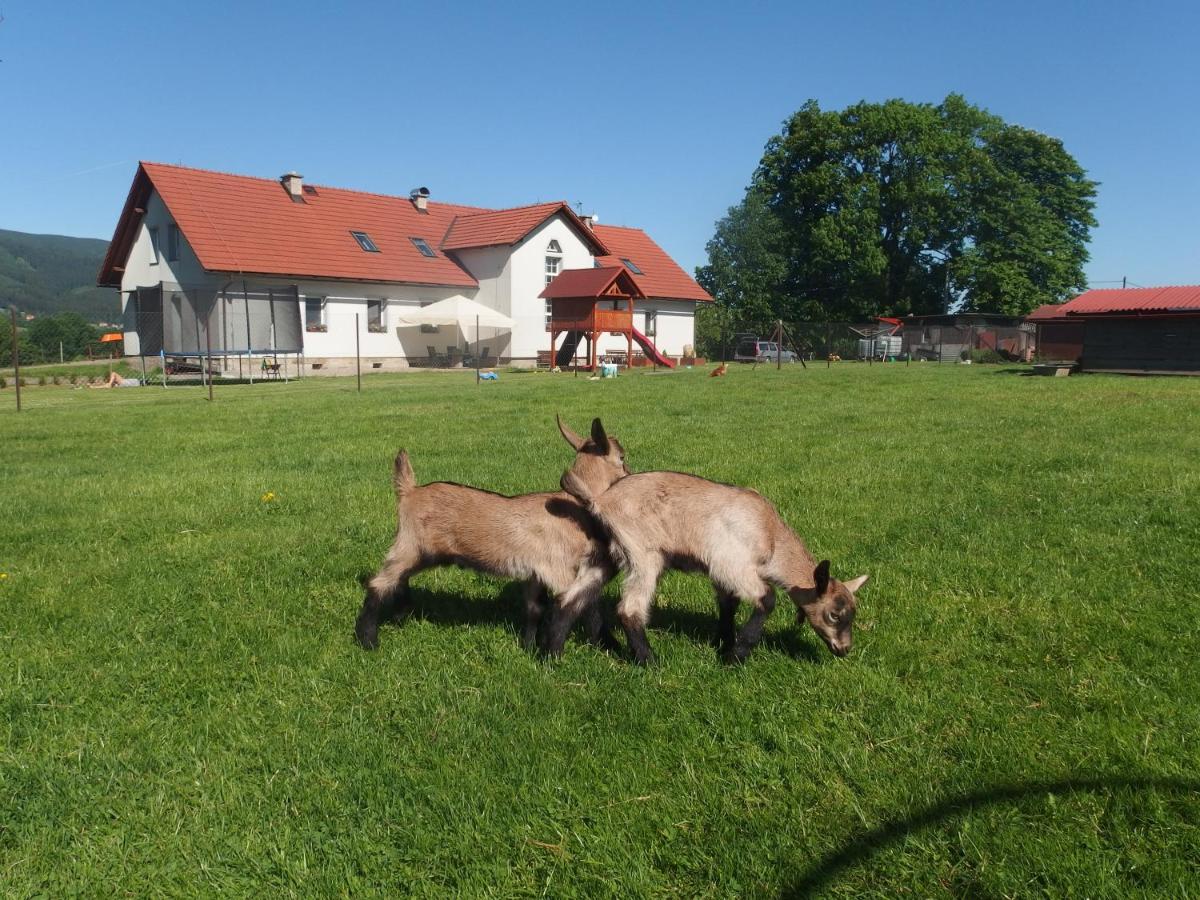 Rideczech guesthouse a cykloservis - Housity