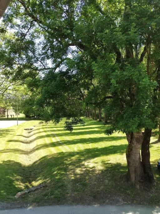 Cute 1-bed cottage with view across park. - Housity